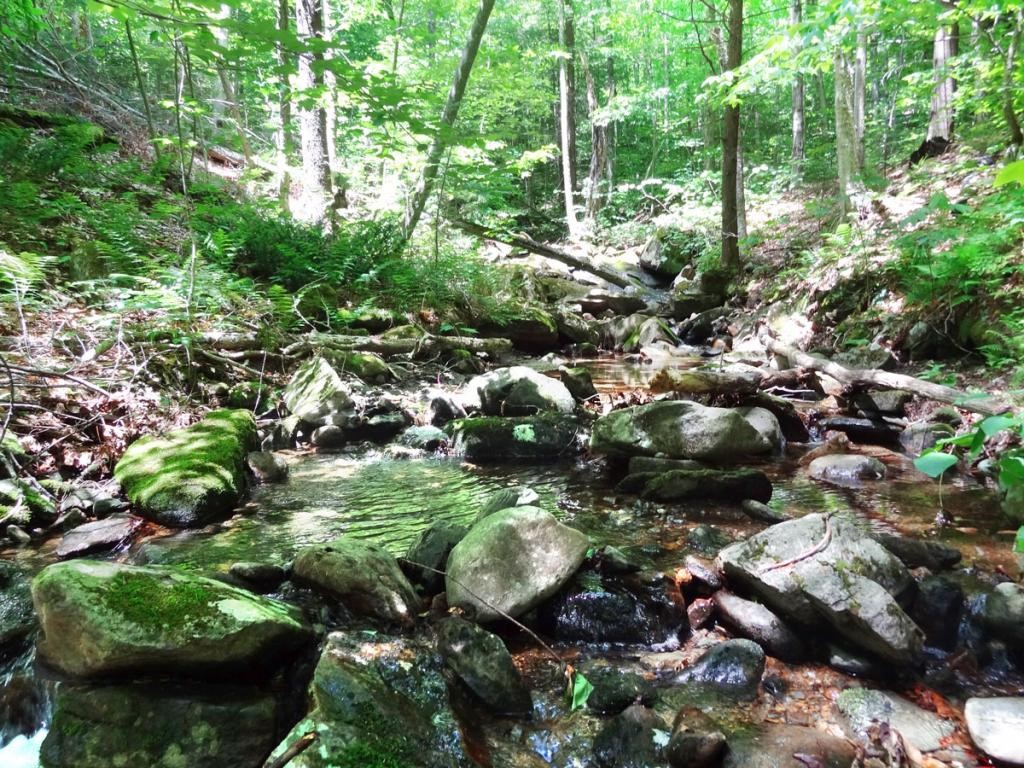 Lot 9 Pcn Road Plymouth, VT 05056 - Photo 2 of 13