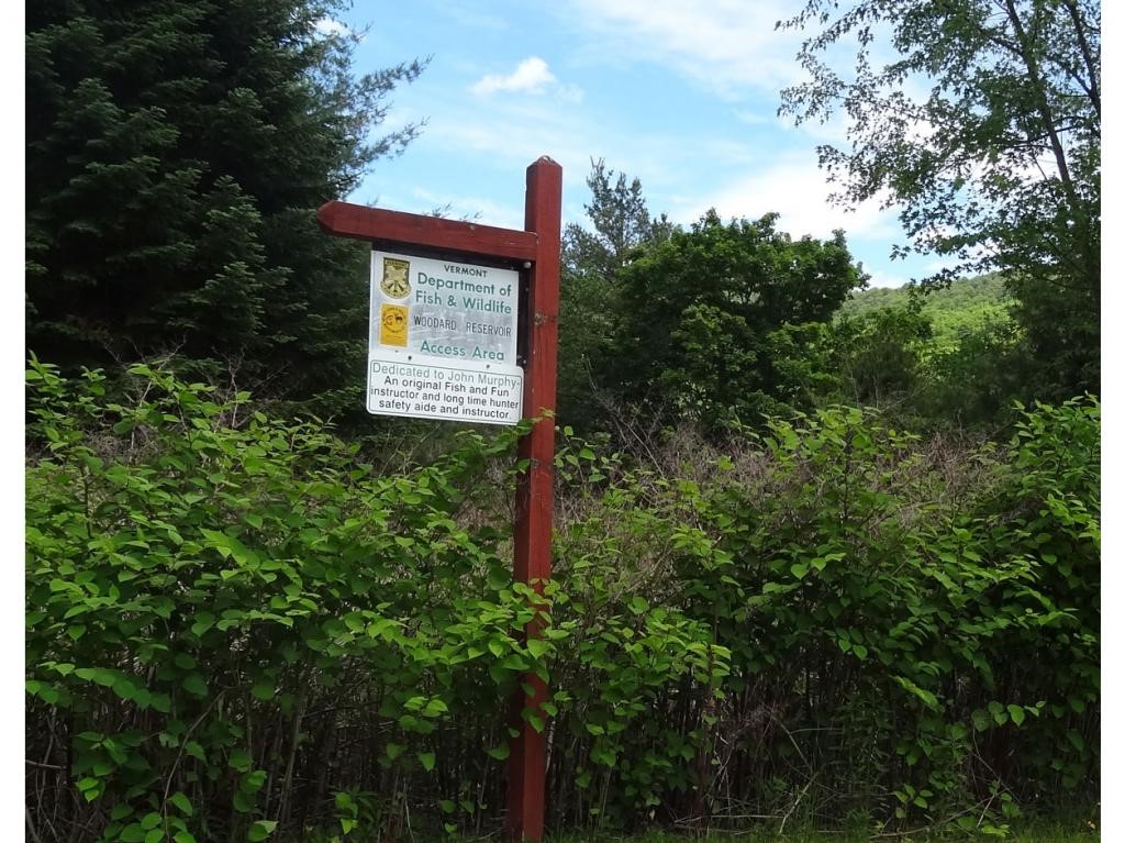 Lot 9 Pcn Road Plymouth, VT 05056 - Photo 10 of 13