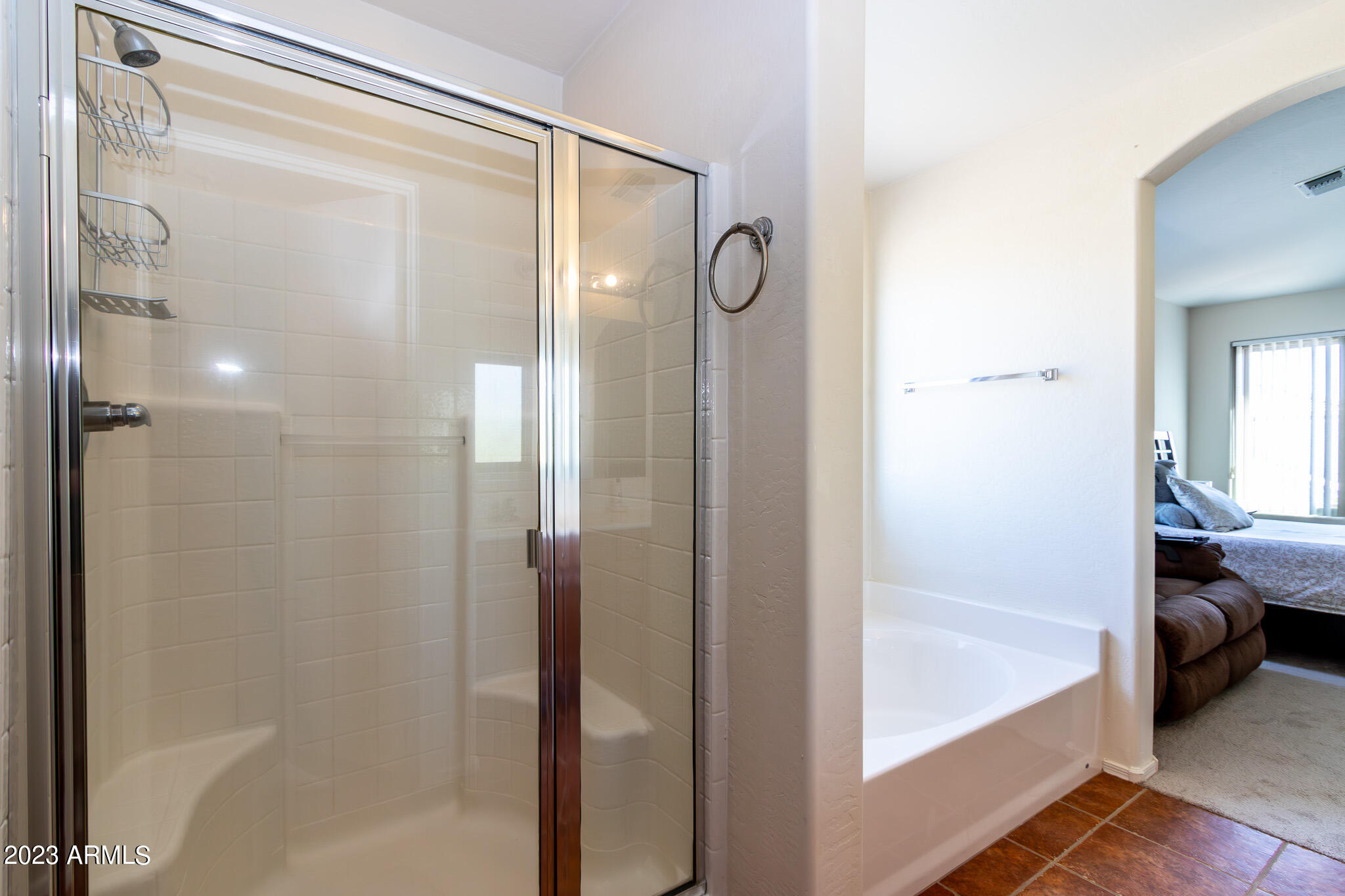 4310 West Apollo Road Laveen, AZ 85339 - Photo 14 of 30 Primary Bathroom (2)