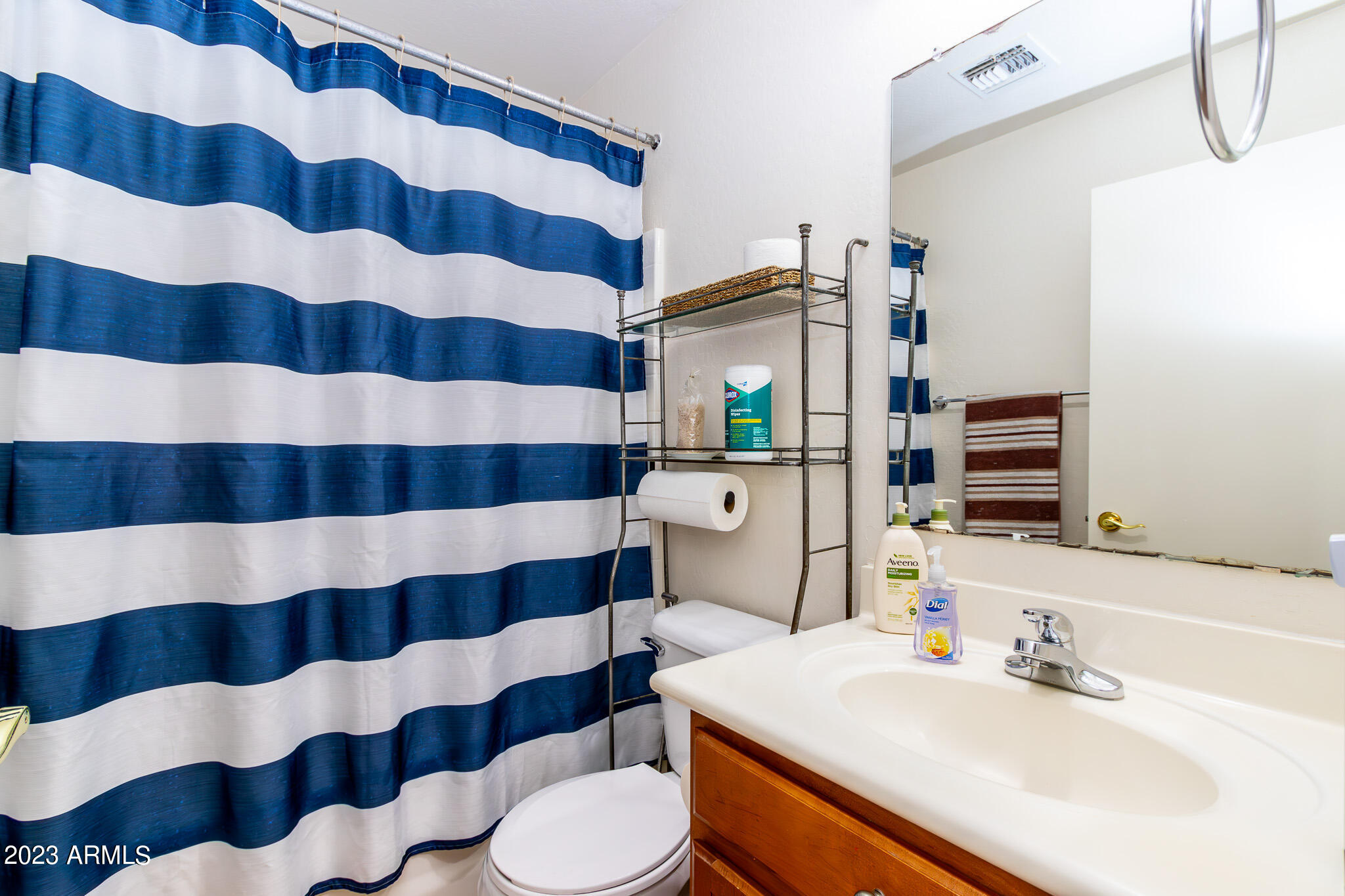 4310 West Apollo Road Laveen, AZ 85339 - Photo 17 of 30 2nd Bathroom