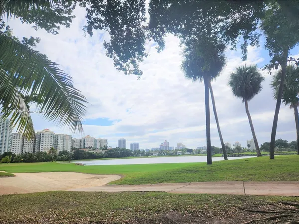 a view of a yard and a palm tree