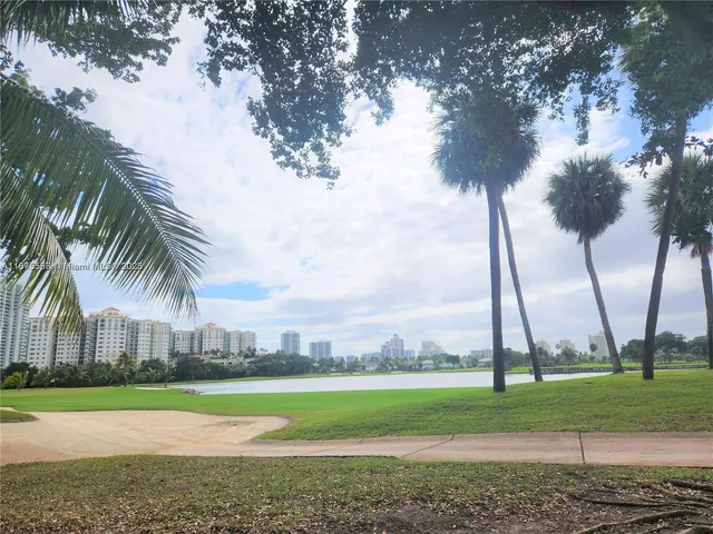 a view of a yard and a palm tree