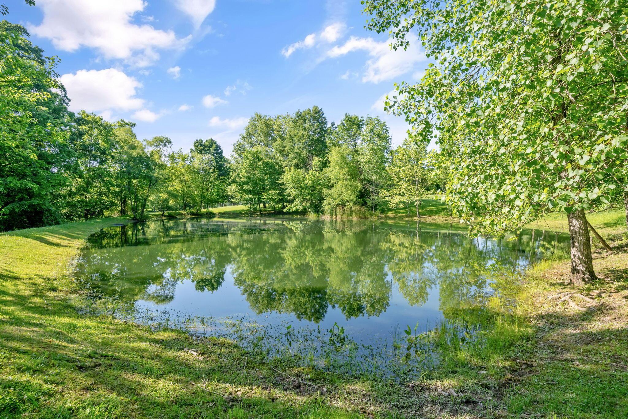 5516 Lancaster Road Hebron, OH 43025 - Photo 102 of 116 Stocked pond