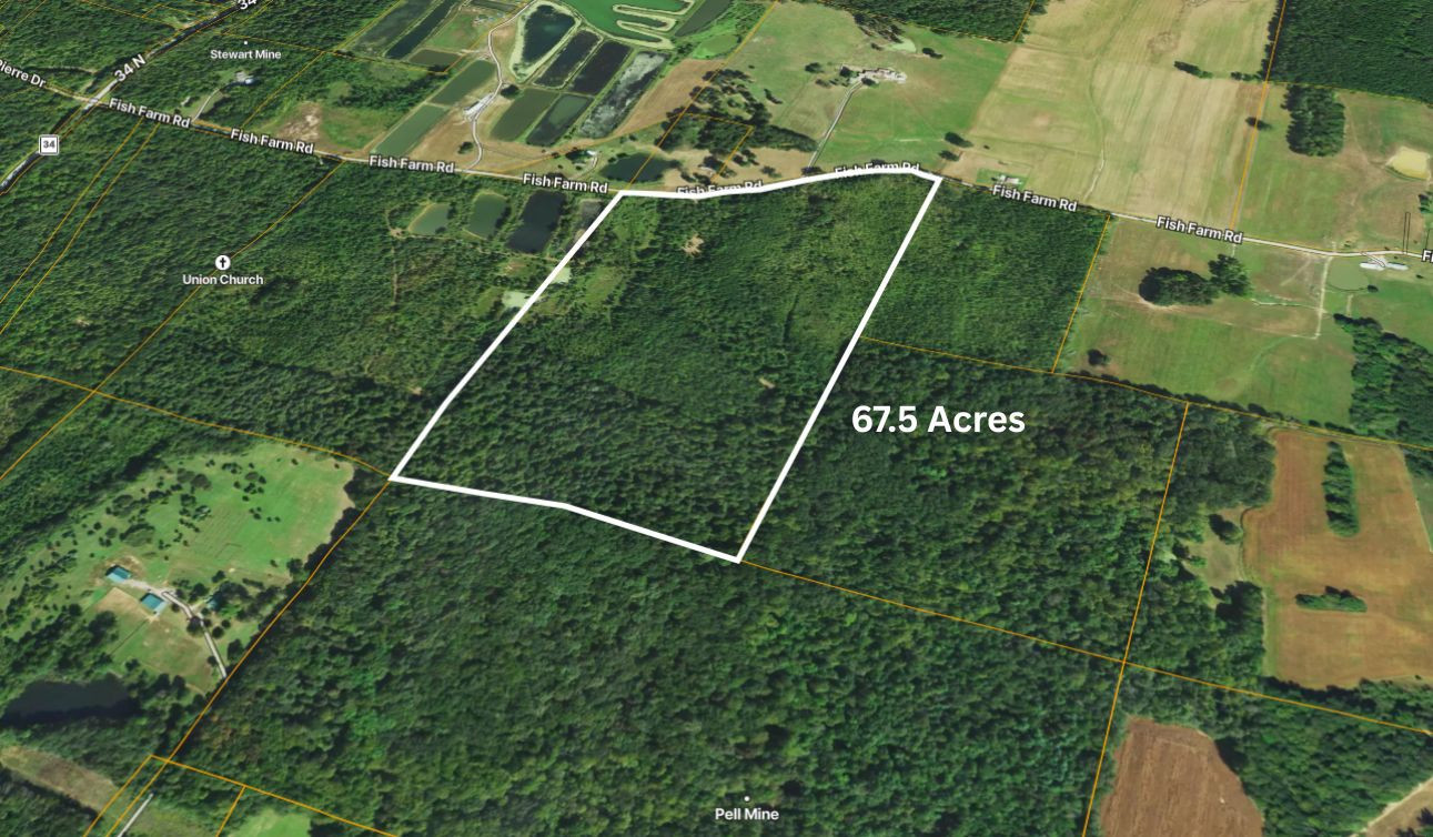 70 Fish Farm Road Golconda, IL 62938 - Photo 10 of 19