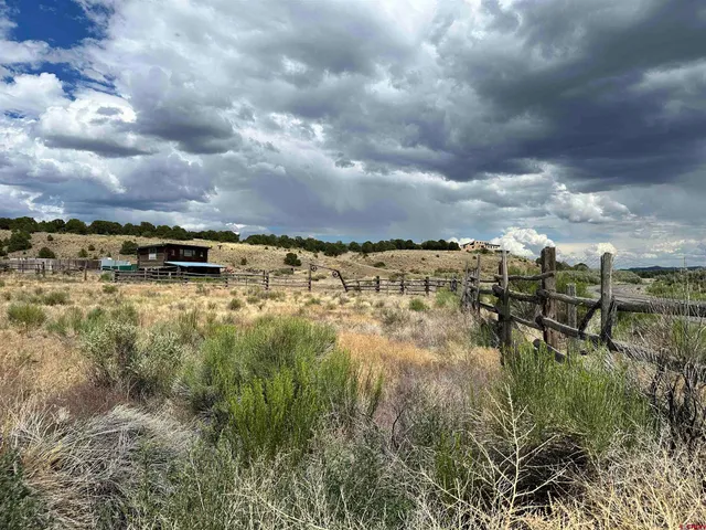 a bathroom with a sink and a shower