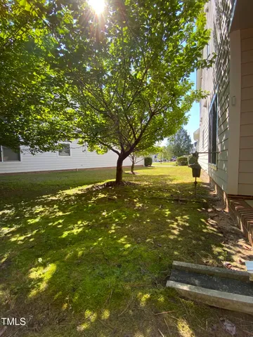 a bunch of flowers and flowers