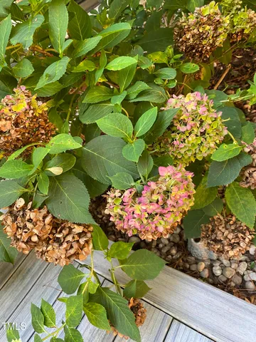 a view of a backyard with swimming pool