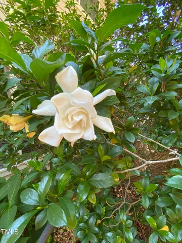 $383,000 | 8019 Satillo Lane, Raleigh, NC 27616