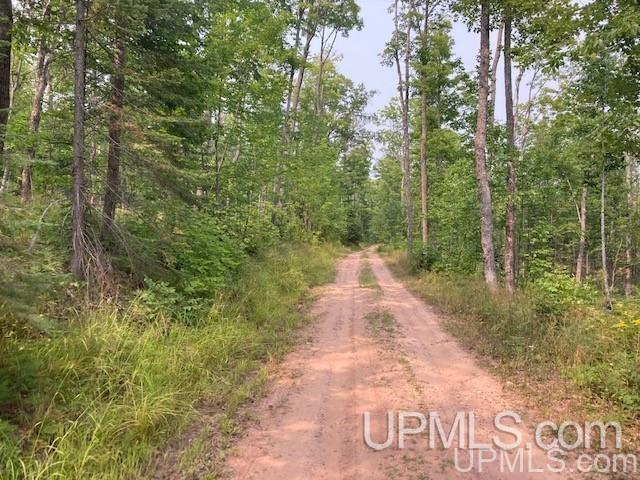 Tbd Old Mill Road Toivola, MI 49965 - Photo 21 of 25 Gallery Image 21