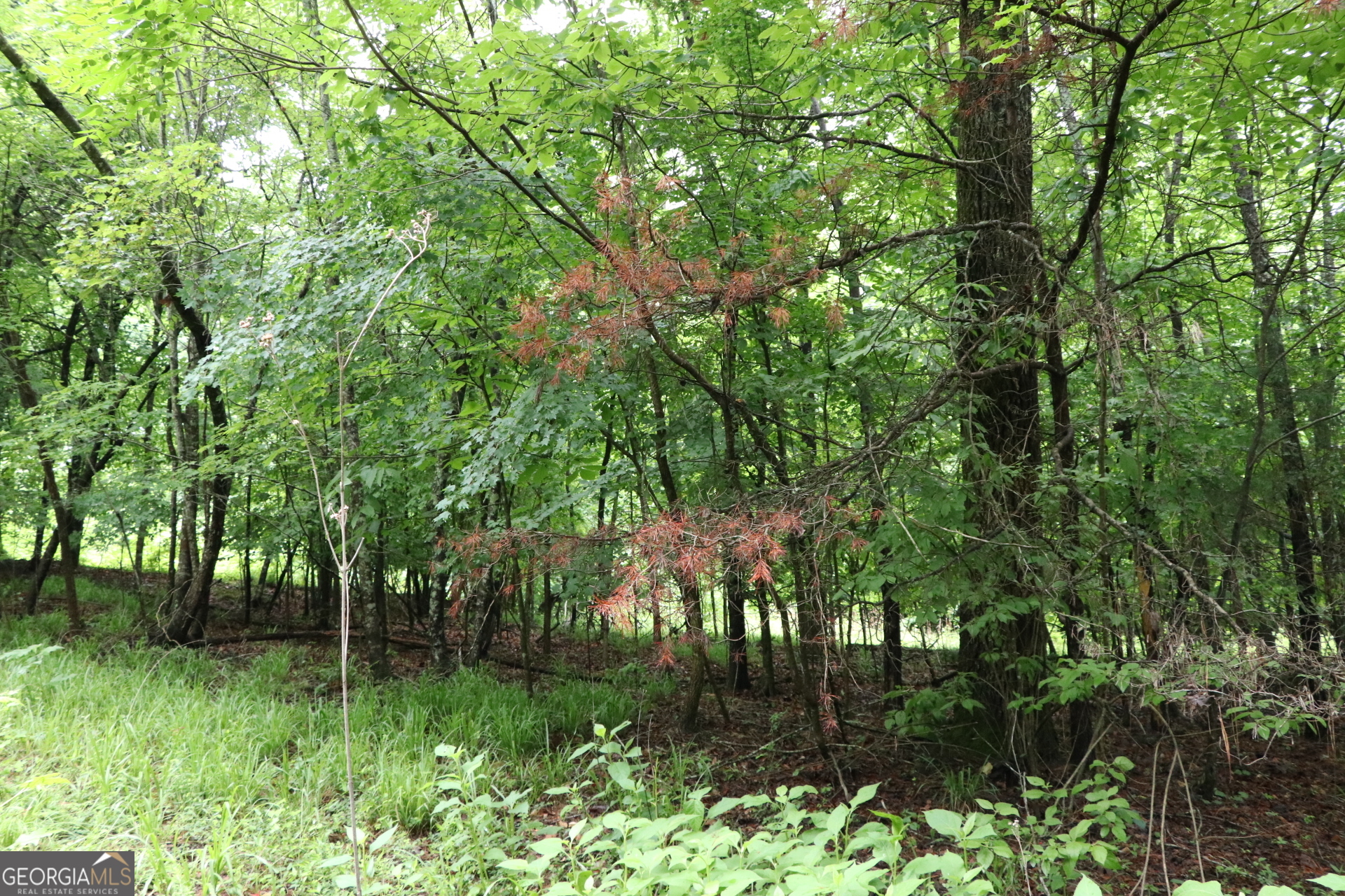 833 Neal Gap Road Summerville, GA 30747 - Photo 73 of 86