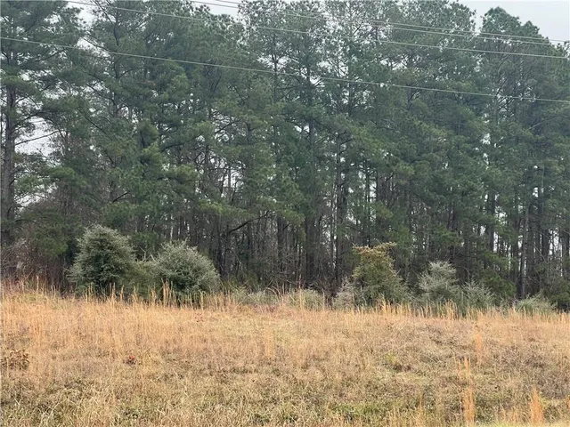 $97,700 | Tbd Tbd La-3128 Highway, Pineville, LA 71360