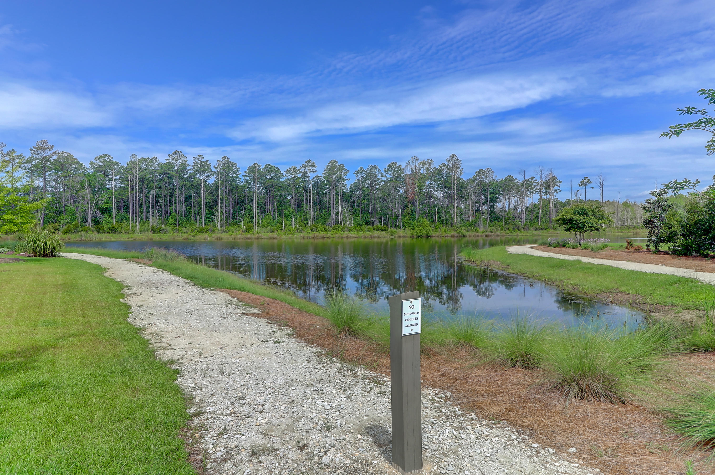 1546 Watt Pond Road Mount Pleasant, SC 29466 - Photo 28 of 30 Community Lake