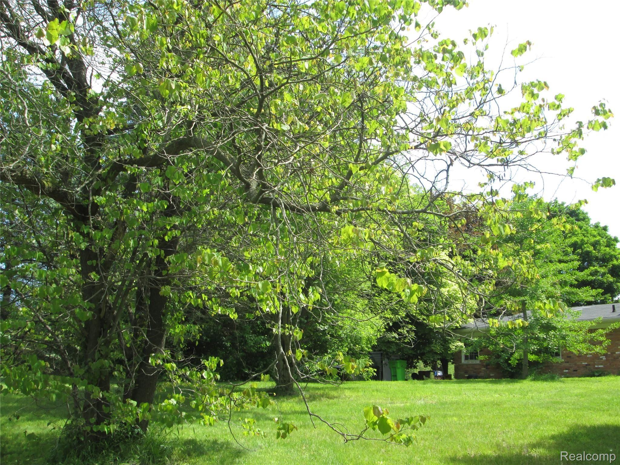 IMG_1350.JPG