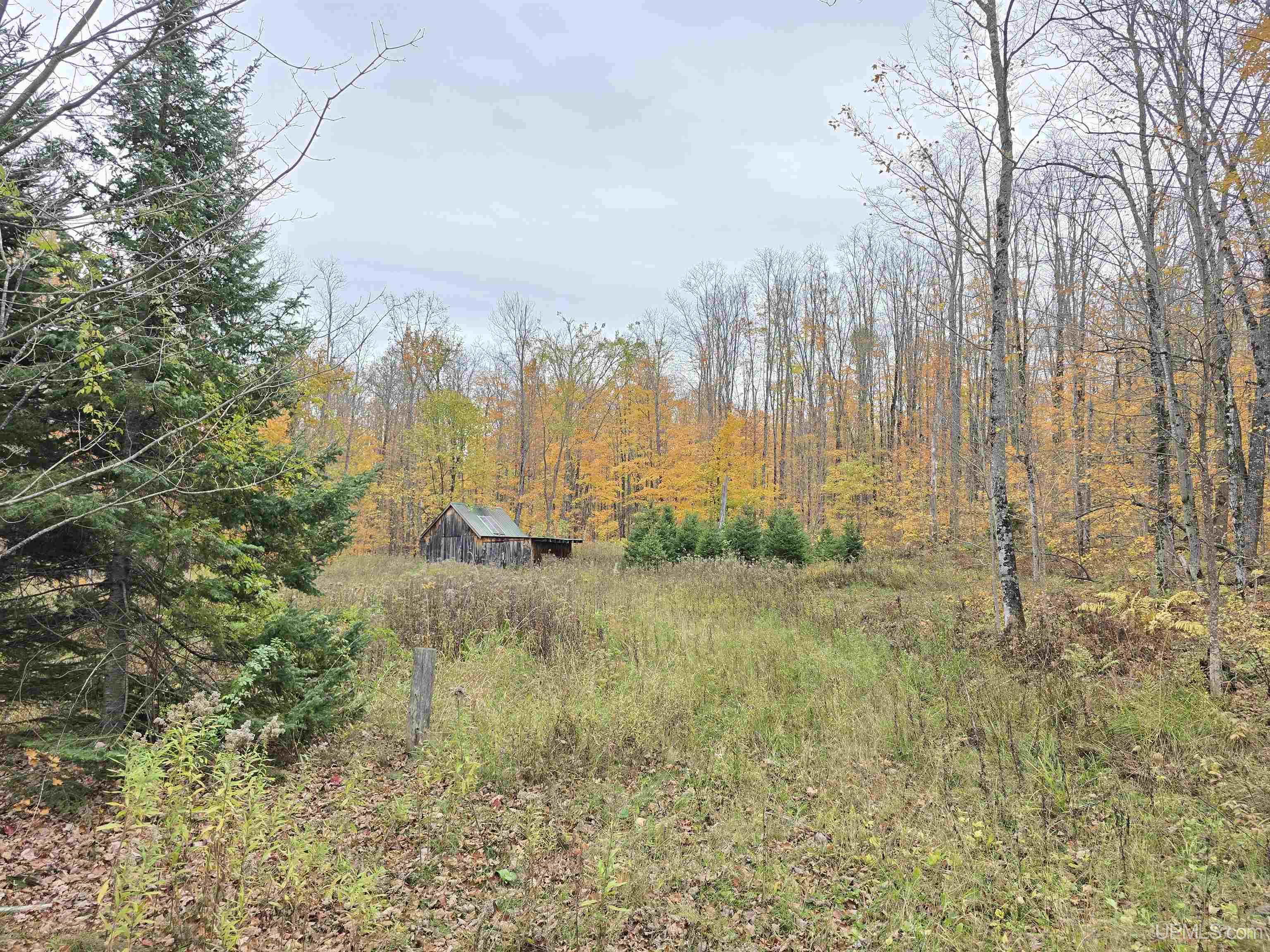 16454 Blue Road Pelkie, MI 49958 - Photo 1 of 50