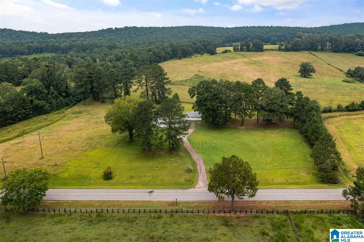 6005 Greensport Road Ashville, AL 35953 - Photo 29 of 36