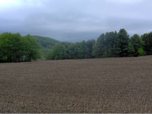 0 Tr 9 Tunbridge Road Randolph Center, VT 05061 - Photo 1 of 1