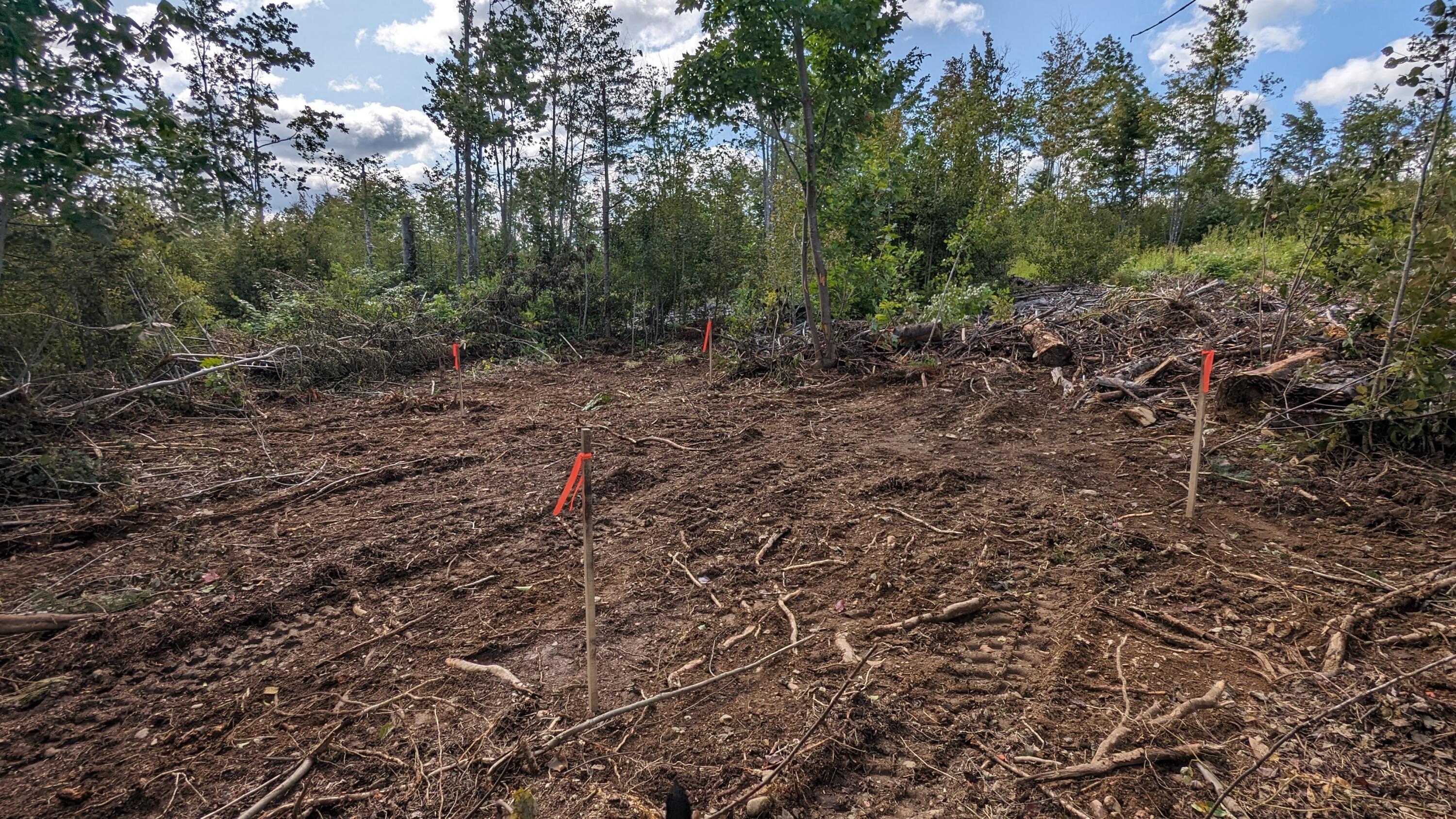 6 Off Hemore Road Houlton, ME 04730 - Photo 10 of 12 PXL_20230831_135408708