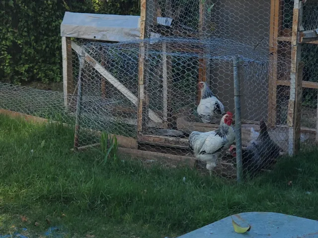 $198,000 | 2576 West Hillside Drive, Anderson, CA 96007