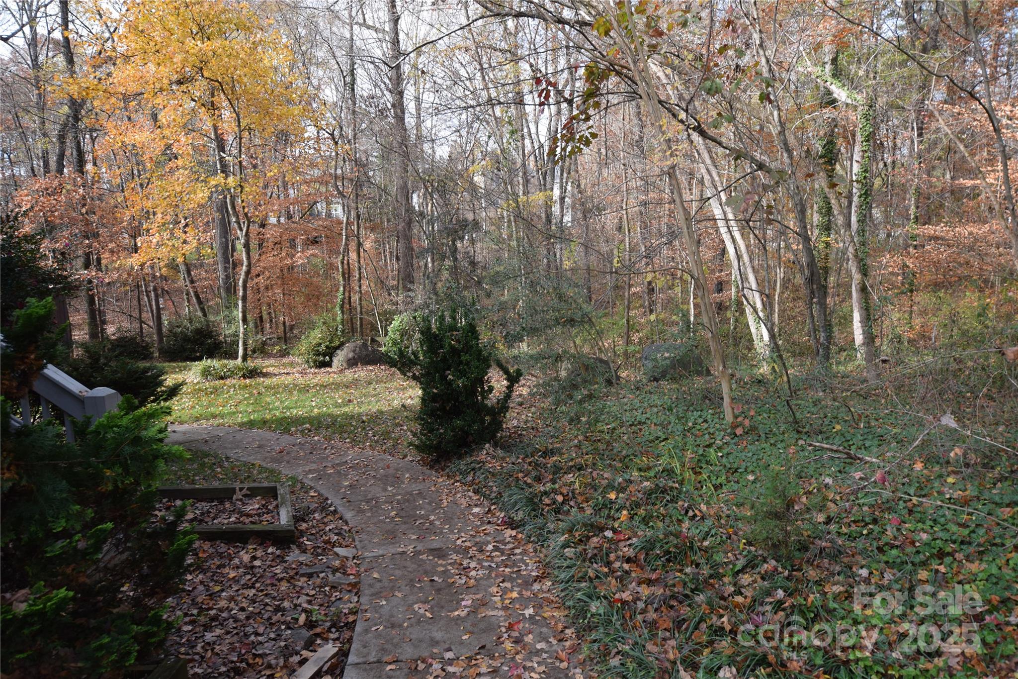 809 Pine Forest Road Charlotte, NC 28214 - Photo 34 of 36 a view of a park with large trees