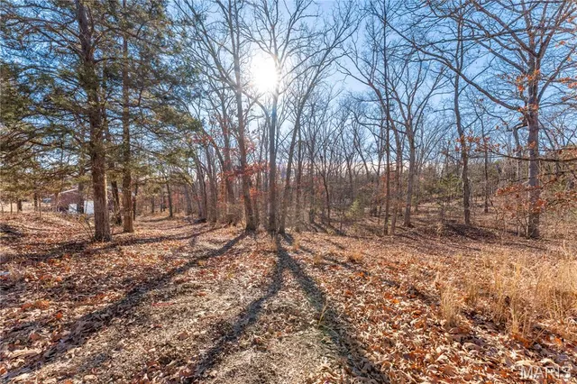 $295,000 | 7551 Washout Drive, Cedar Hill, MO 63016