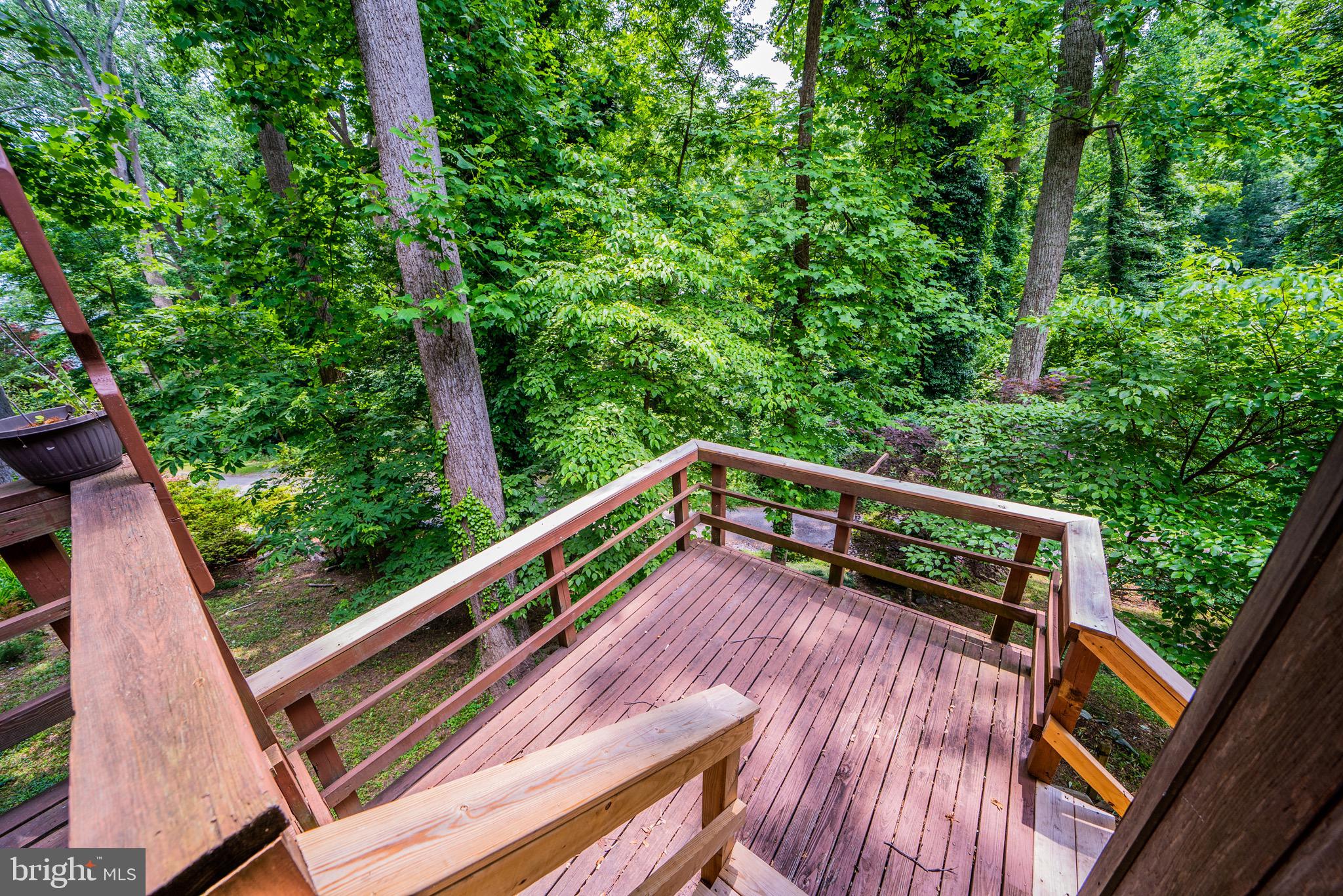 3810 Bay Road Port Republic, MD 20676 - Photo 4 of 58
