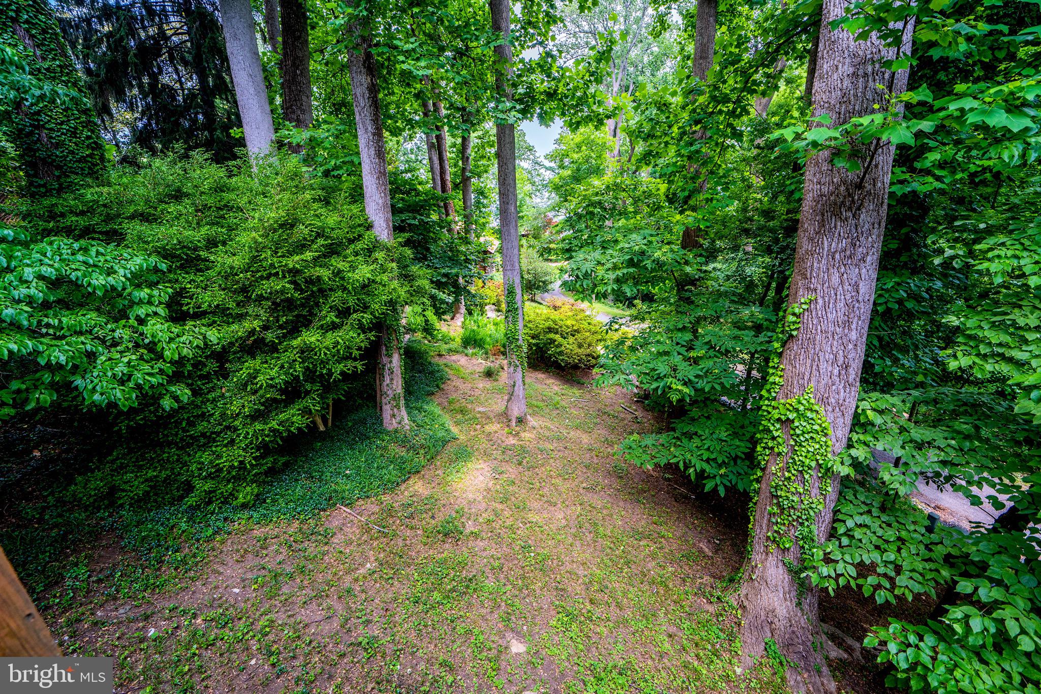 3810 Bay Road Port Republic, MD 20676 - Photo 5 of 58