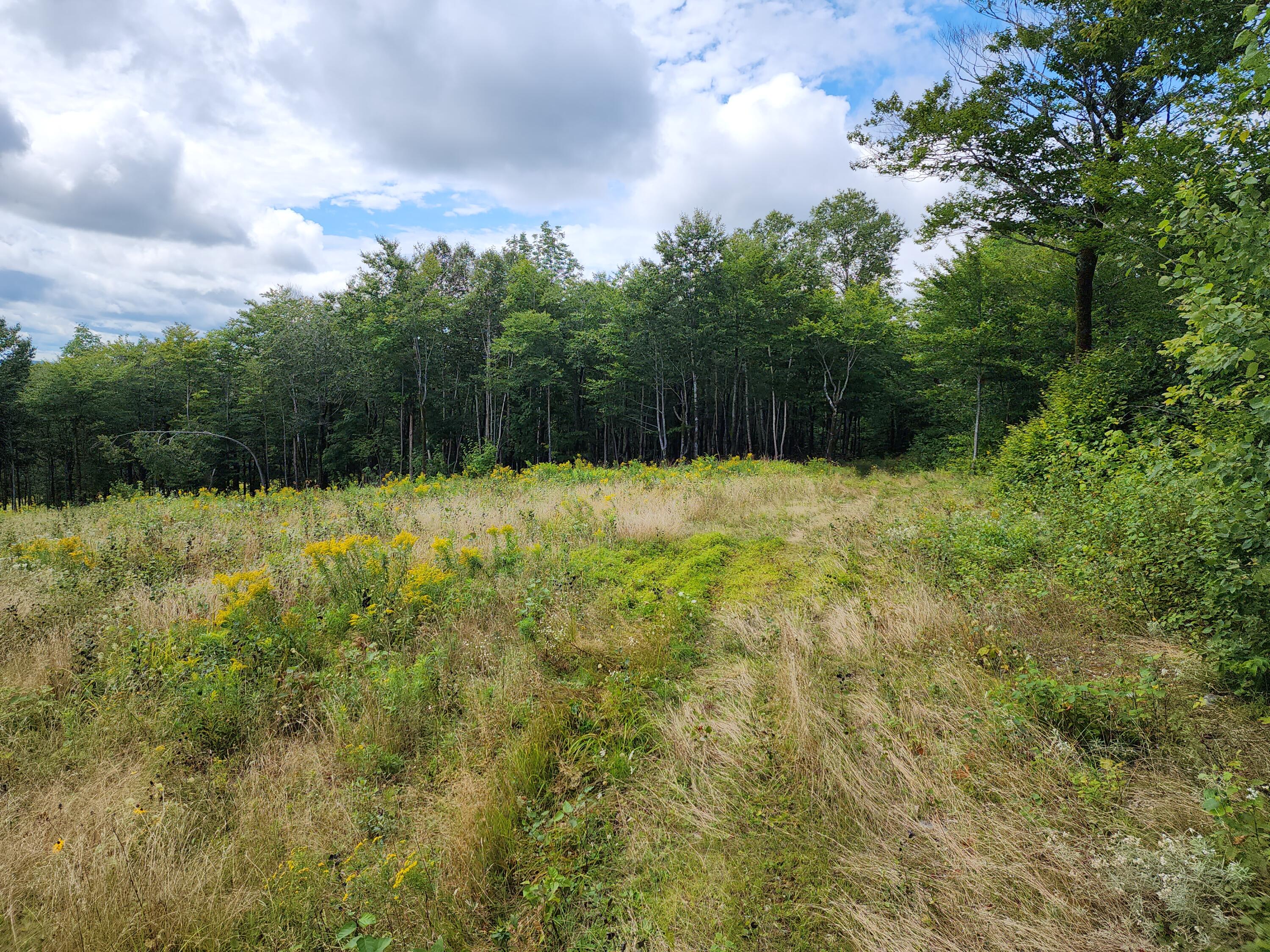 Off Dow Farm Road Island Falls, ME 04747 - Photo 5 of 10 20230826_125823