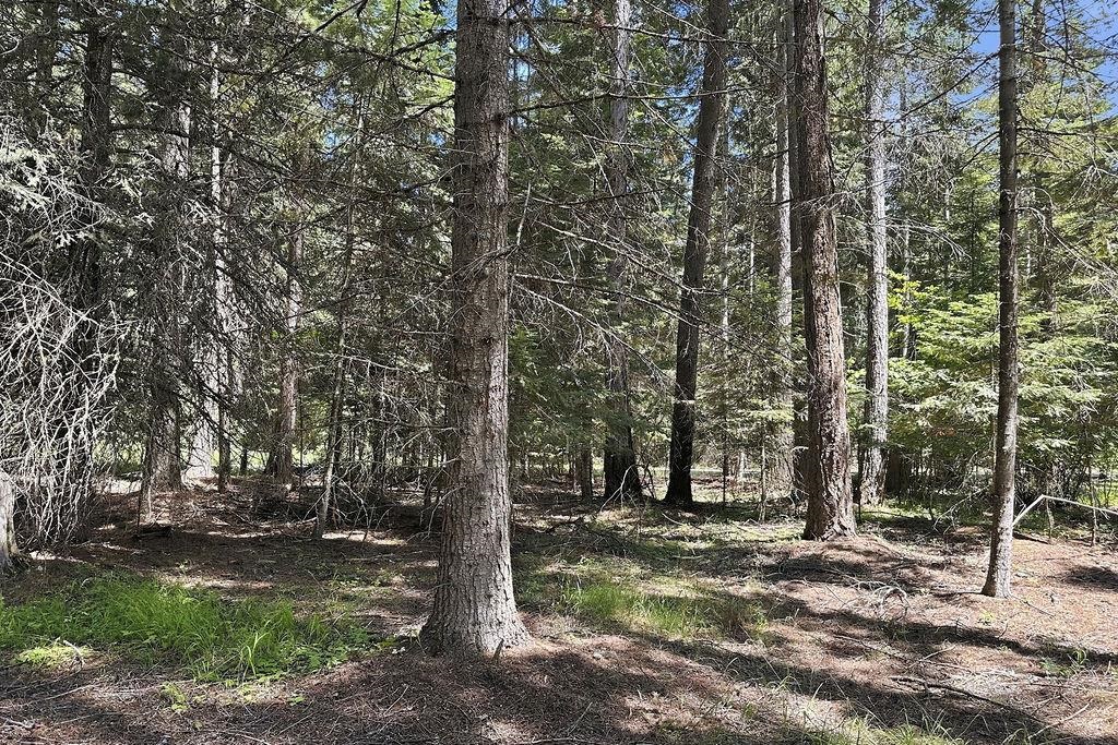 641 Riverbend Loop Road, Unit LOT 1 BLOCK 2 RIVERBEND ESTATES Cusick, WA 99119 - Photo 4 of 21