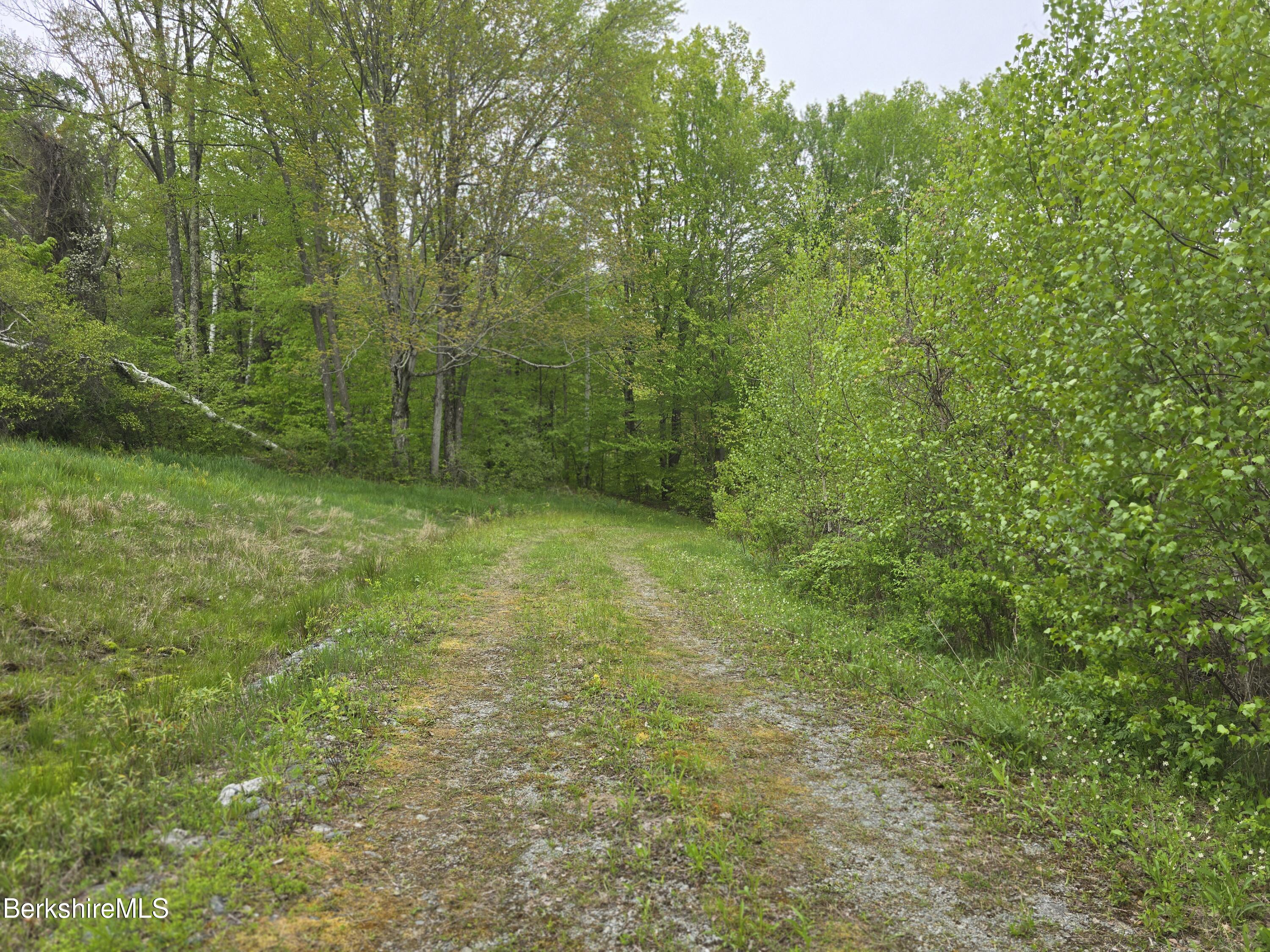 Montgomery Road Pownal, VT 05261 - Photo 11 of 13 Driveway looking down from foundation
