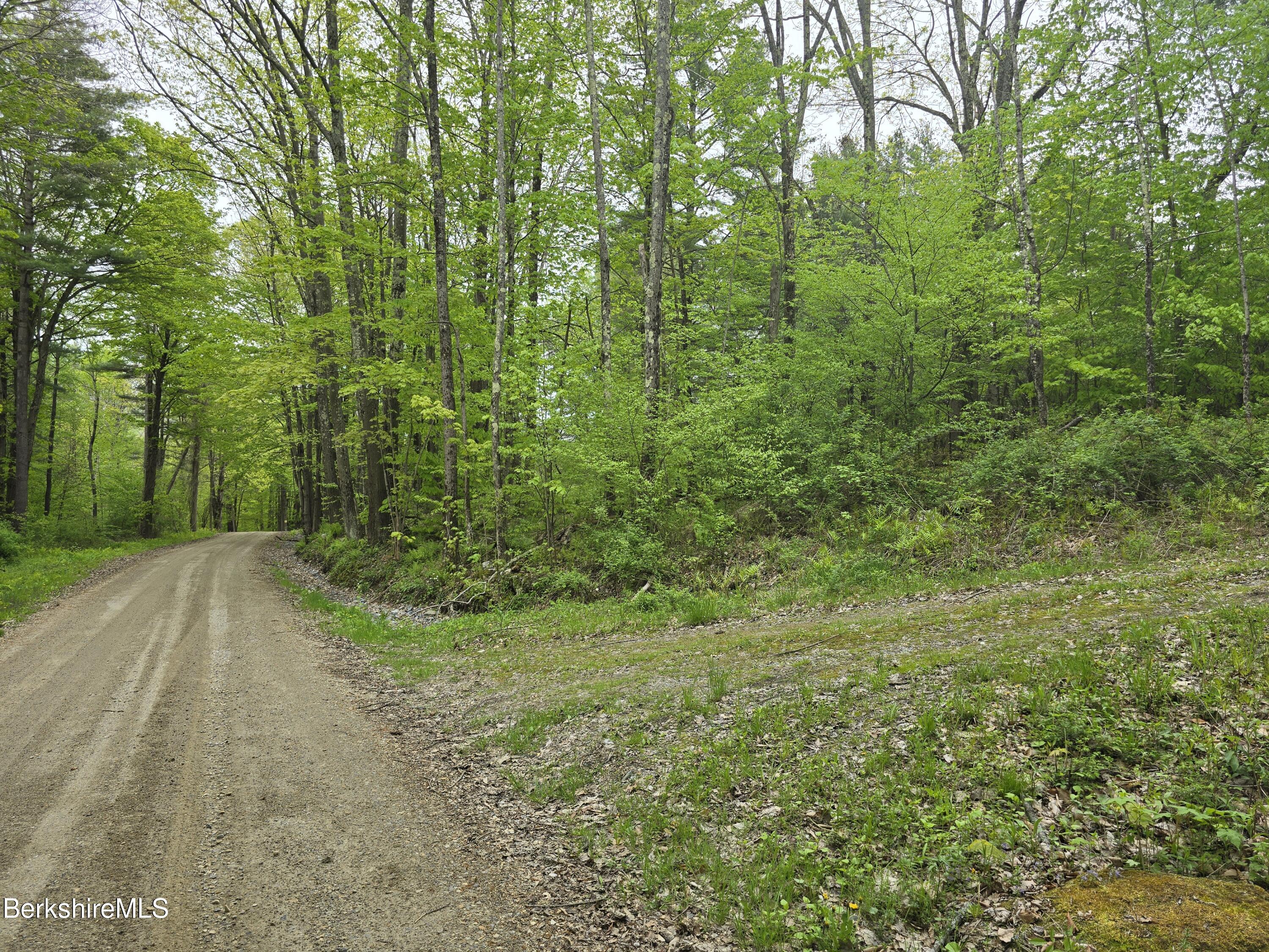 Montgomery Road Pownal, VT 05261 - Photo 12 of 13 From driveway down to corner