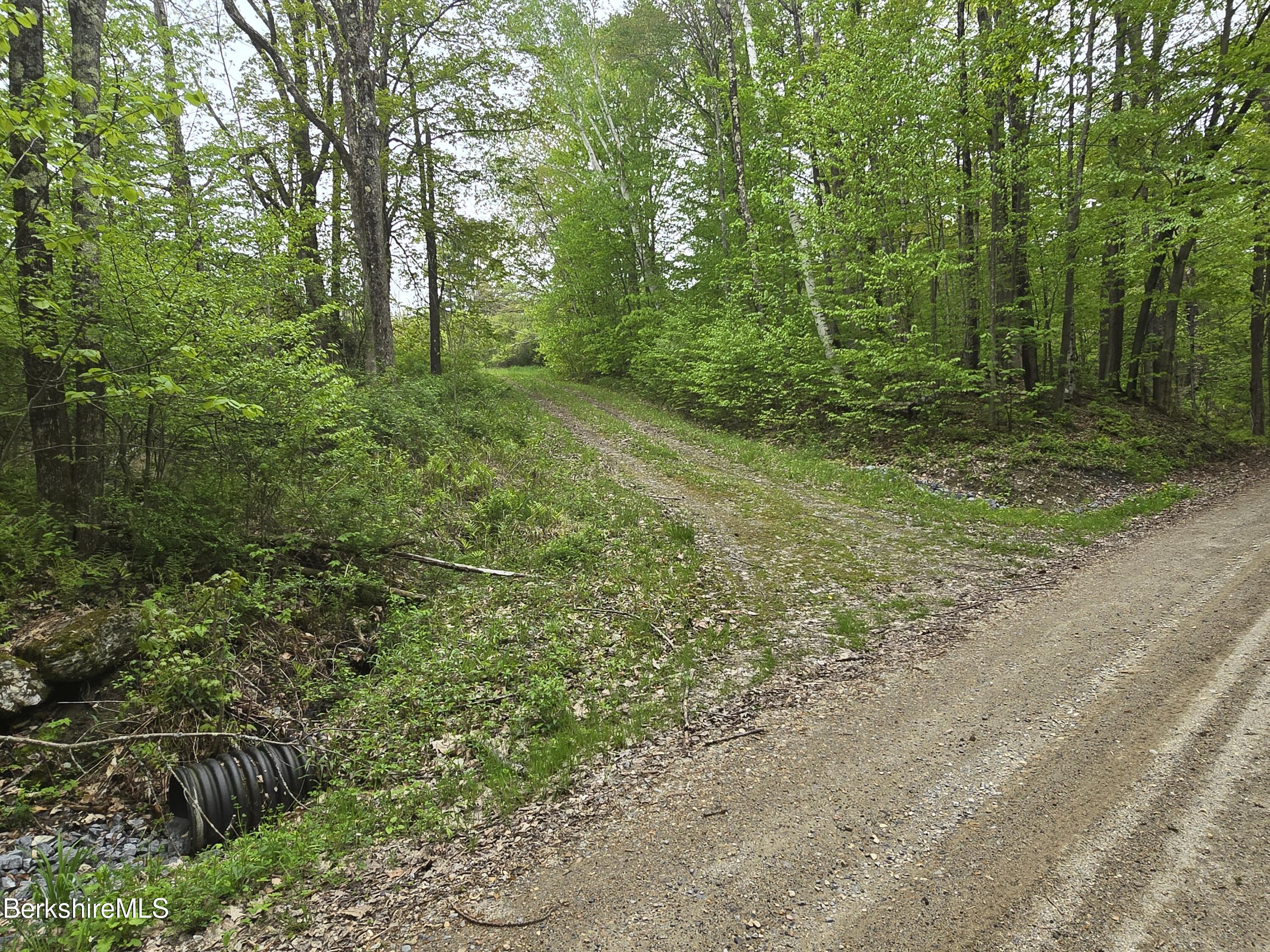 Montgomery Road Pownal, VT 05261 - Photo 13 of 13 From driveway up road