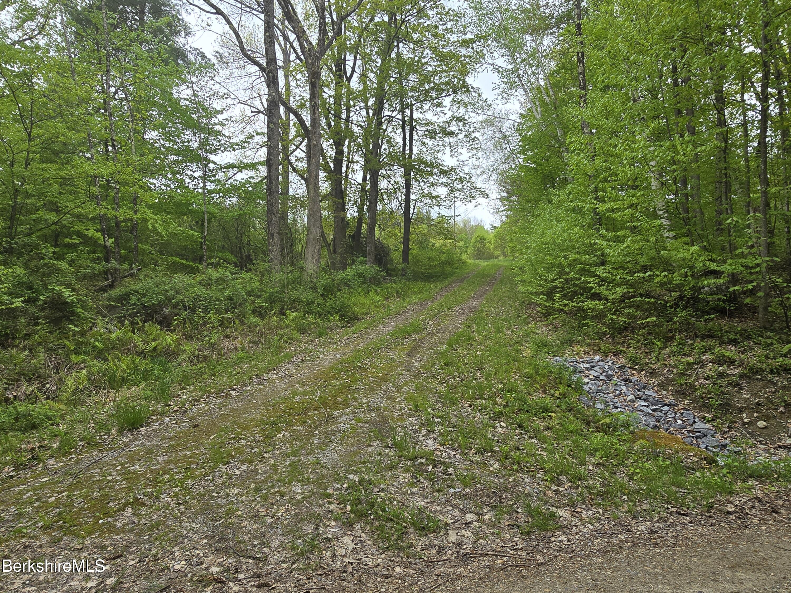 Montgomery Road Pownal, VT 05261 - Photo 2 of 13 Driveway into property