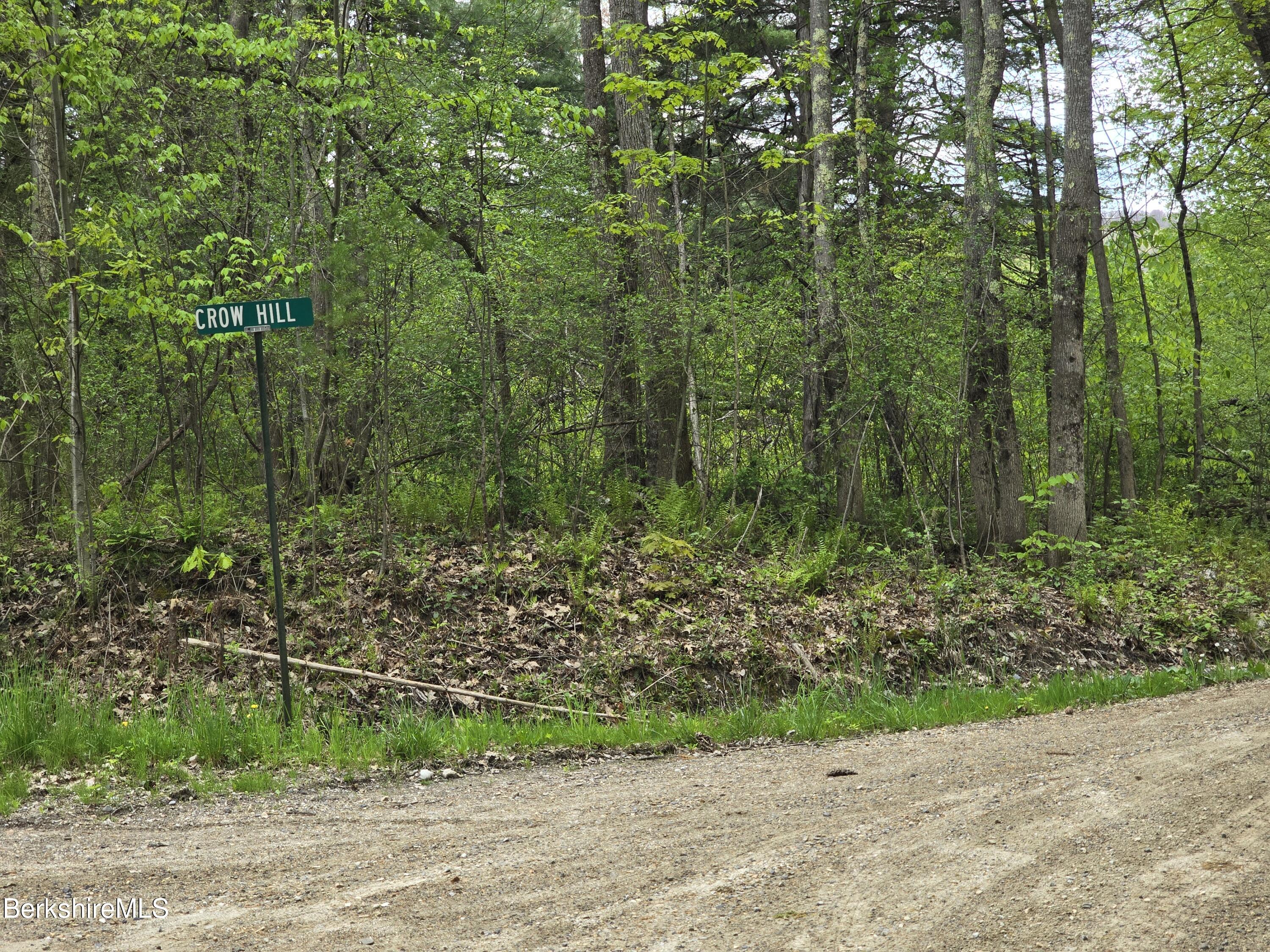 Montgomery Road Pownal, VT 05261 - Photo 3 of 13 1000016059