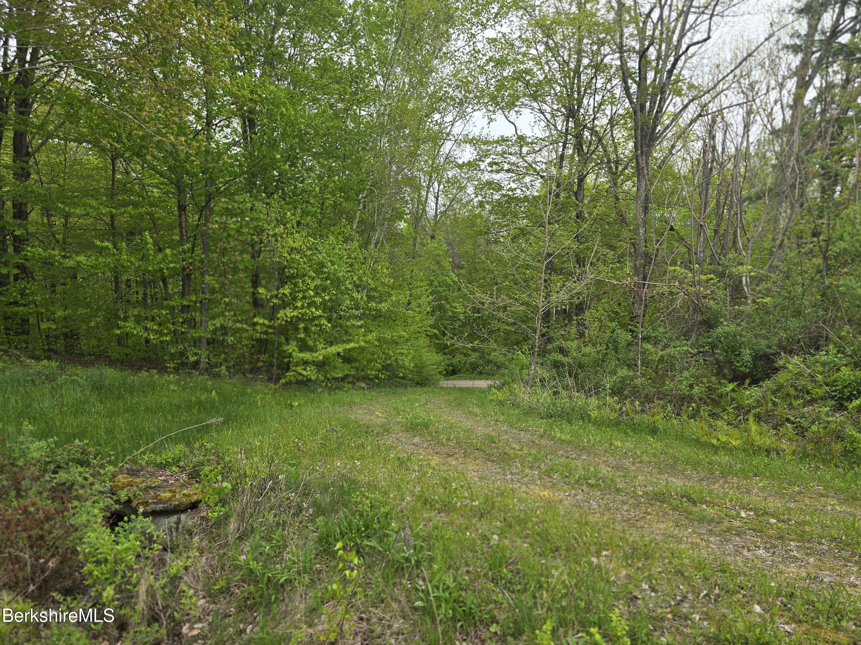 Montgomery Road Pownal, VT 05261 - Photo 4 of 13 1000016057