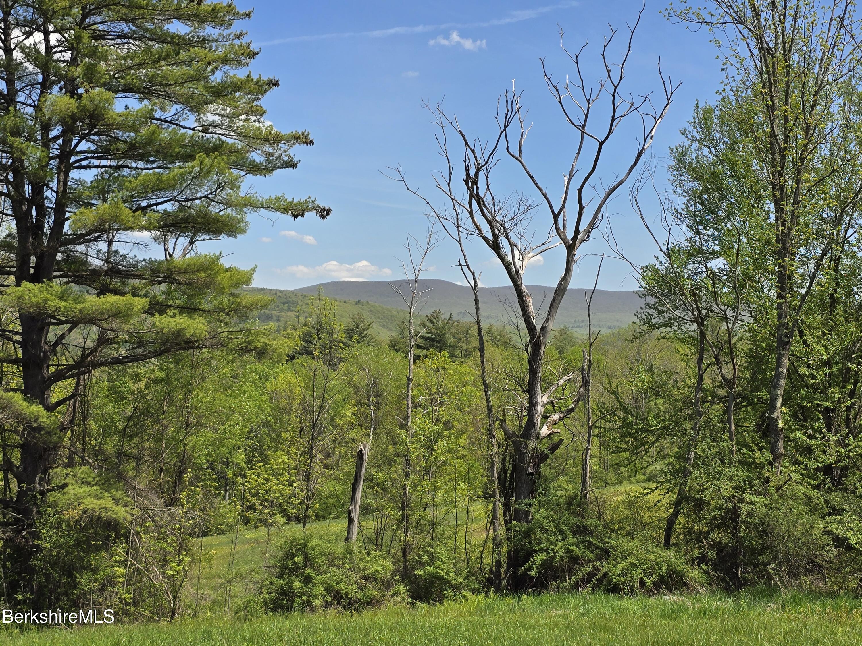 Montgomery Road Pownal, VT 05261 - Photo 5 of 13 Potential Views