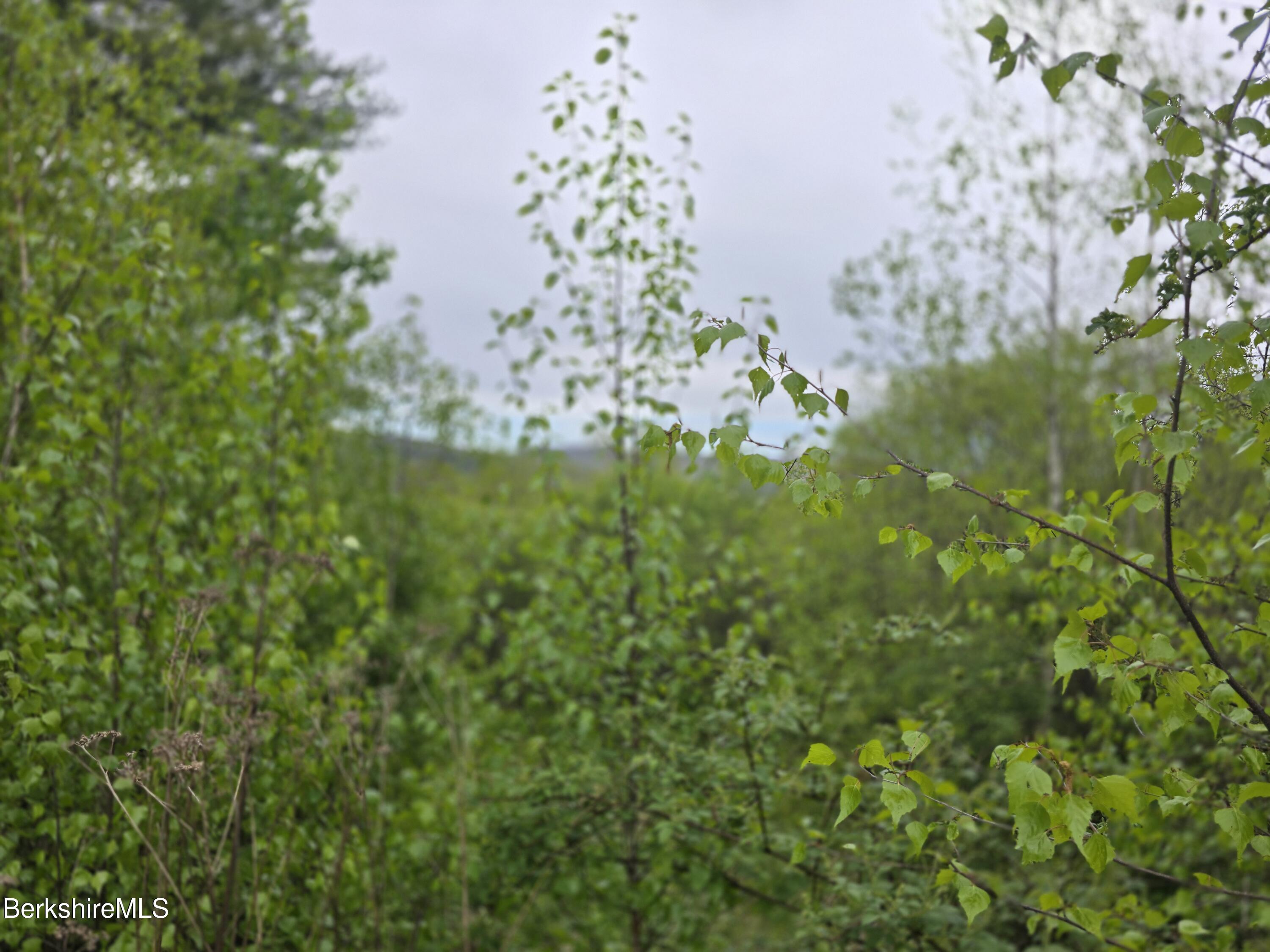 Montgomery Road Pownal, VT 05261 - Photo 6 of 13 1000016054