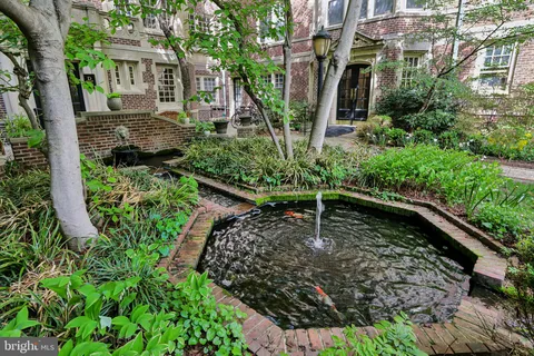 a view of a backyard with plants