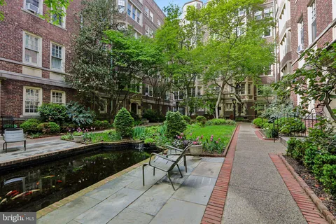 a view of a garden with plants and large trees