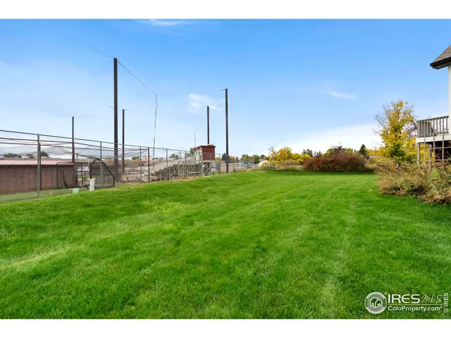 a view of a garden with a tree