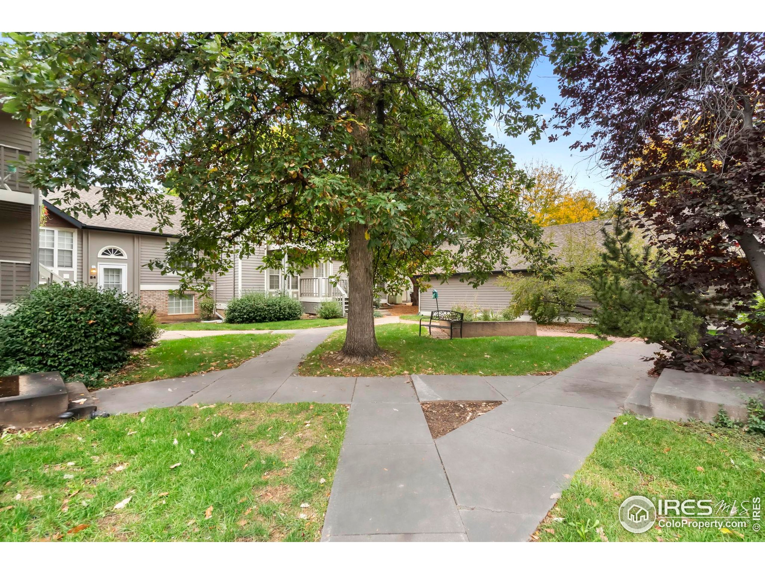 2828 Silverplume Drive, Unit R3 Fort Collins, CO 80526 - Photo 39 of 44 a view of backyard with green space