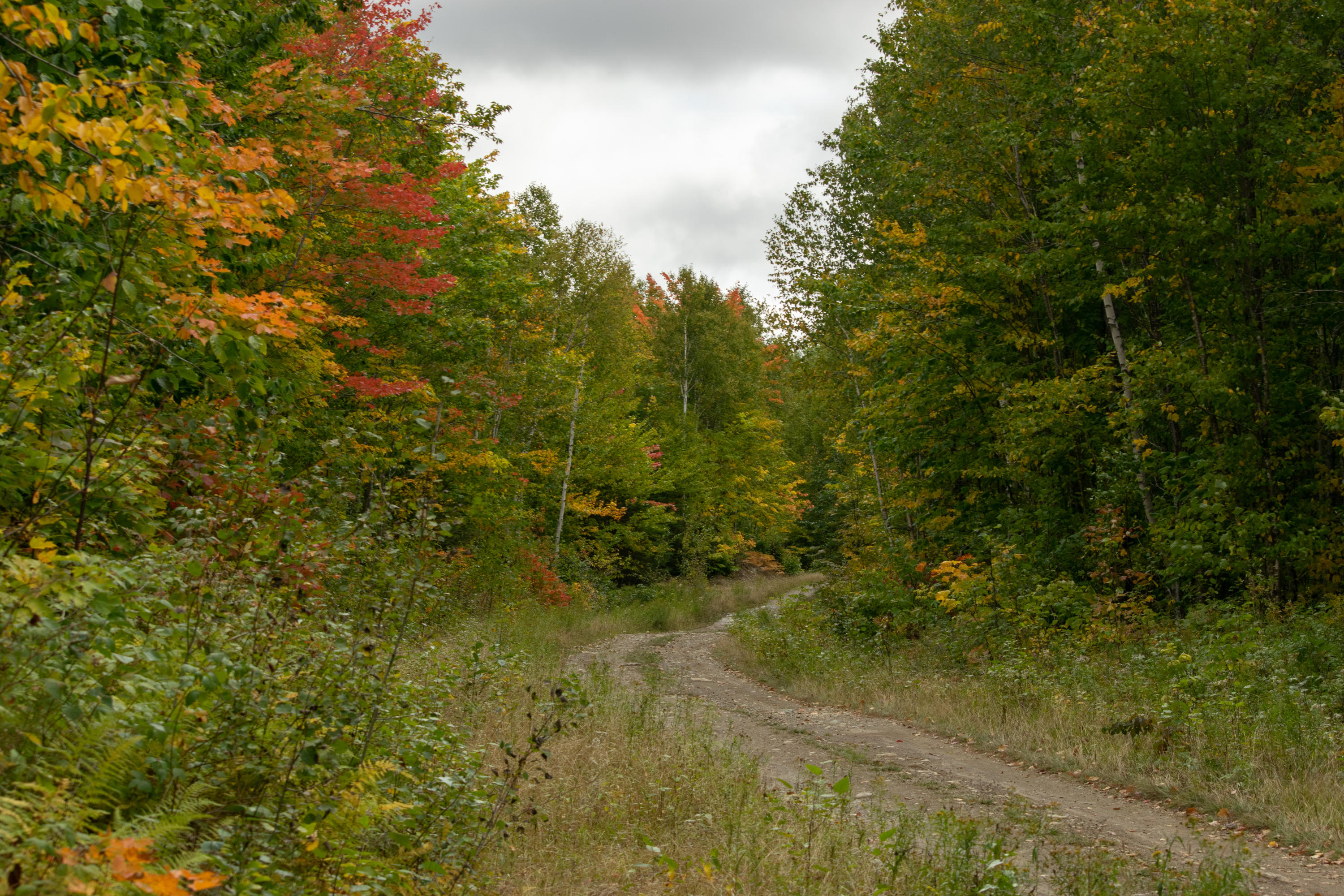 Lot 69 Cyr Rd Mount Mount Chase, ME 04765 - Photo 9 of 14 DSC_1466