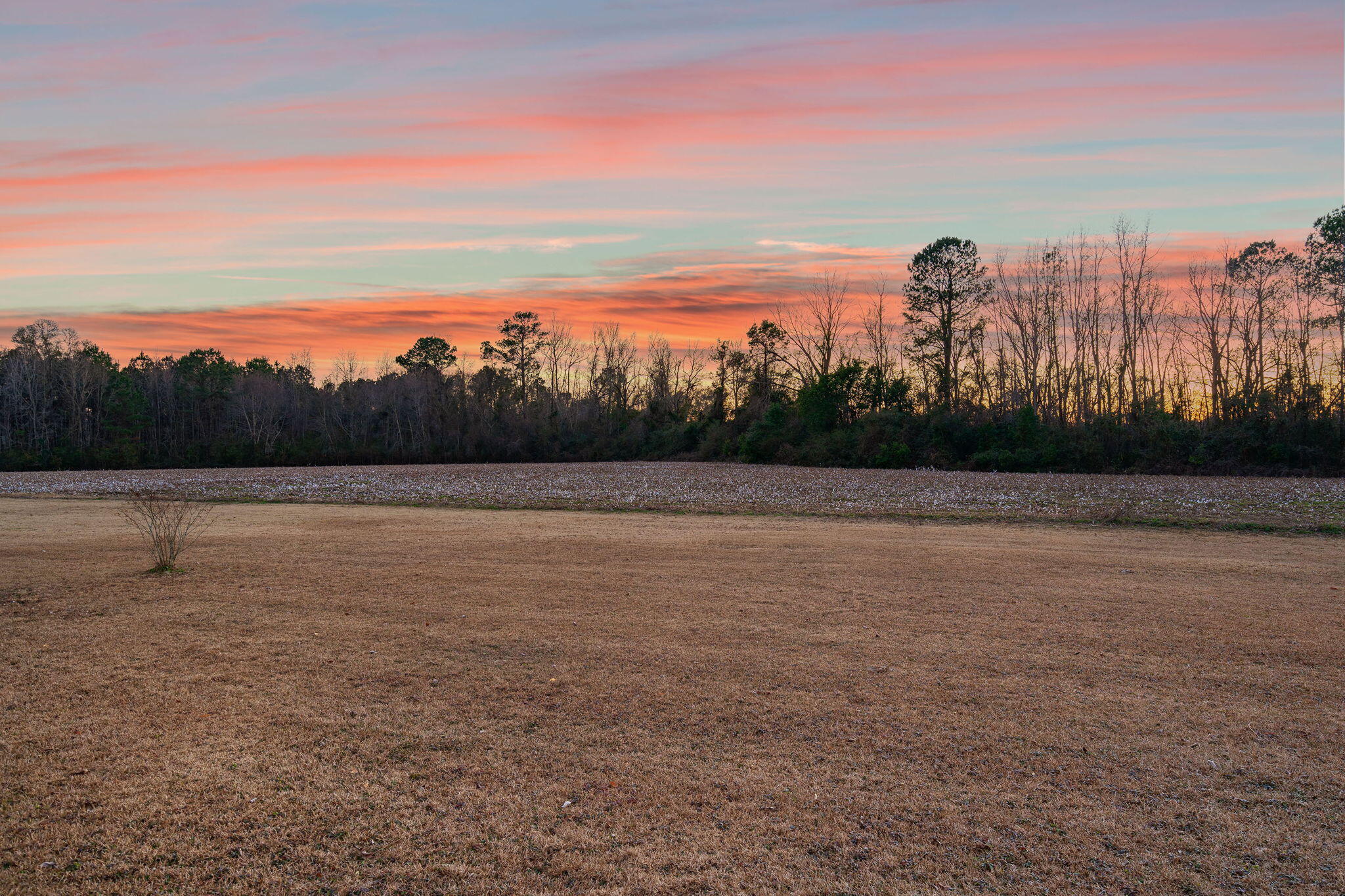 397 Sauls Branch Road Reevesville, SC 29471 - Photo 40 of 41 40