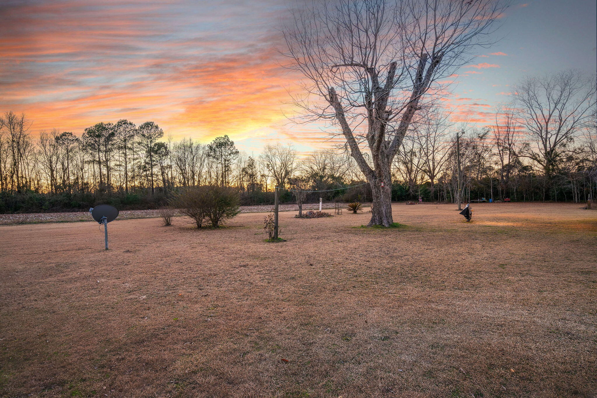 397 Sauls Branch Road Reevesville, SC 29471 - Photo 41 of 41 41
