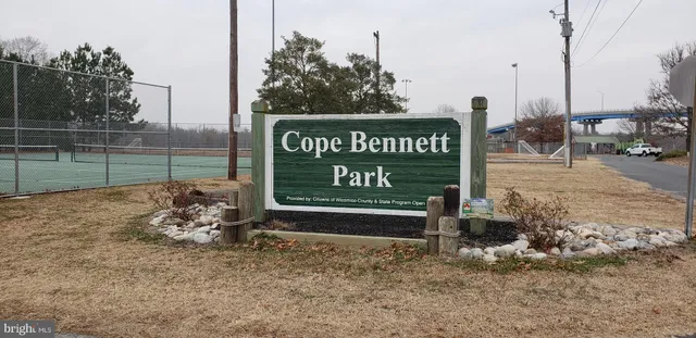 a view of a yard with a large tree