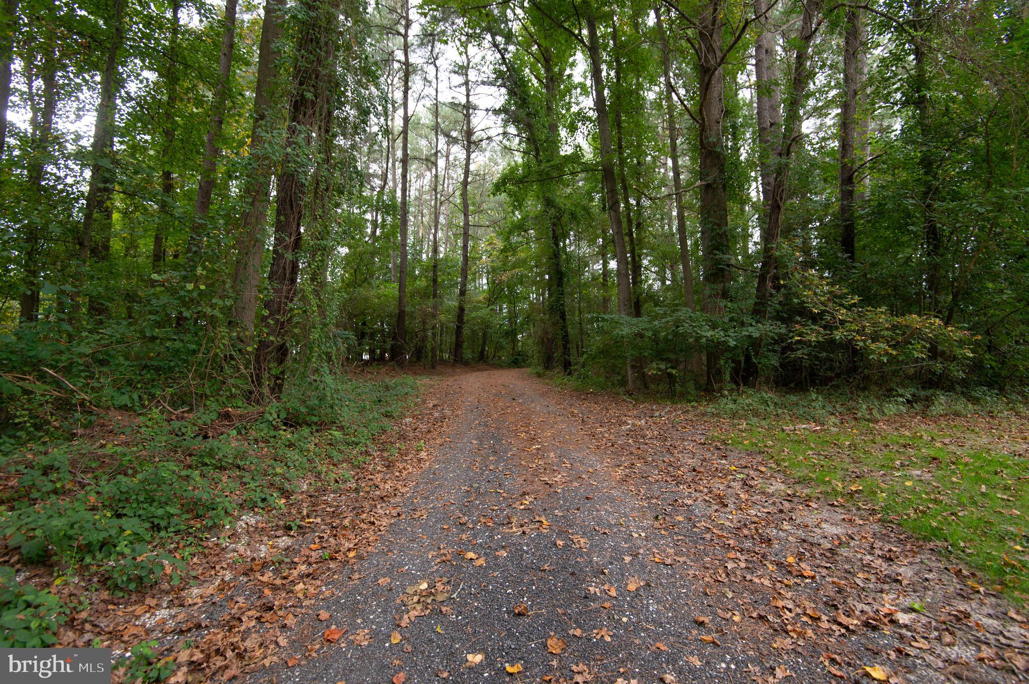 12745 Ridgely Road Greensboro, MD 21639 - Photo 45 of 59 Gallery Image 45