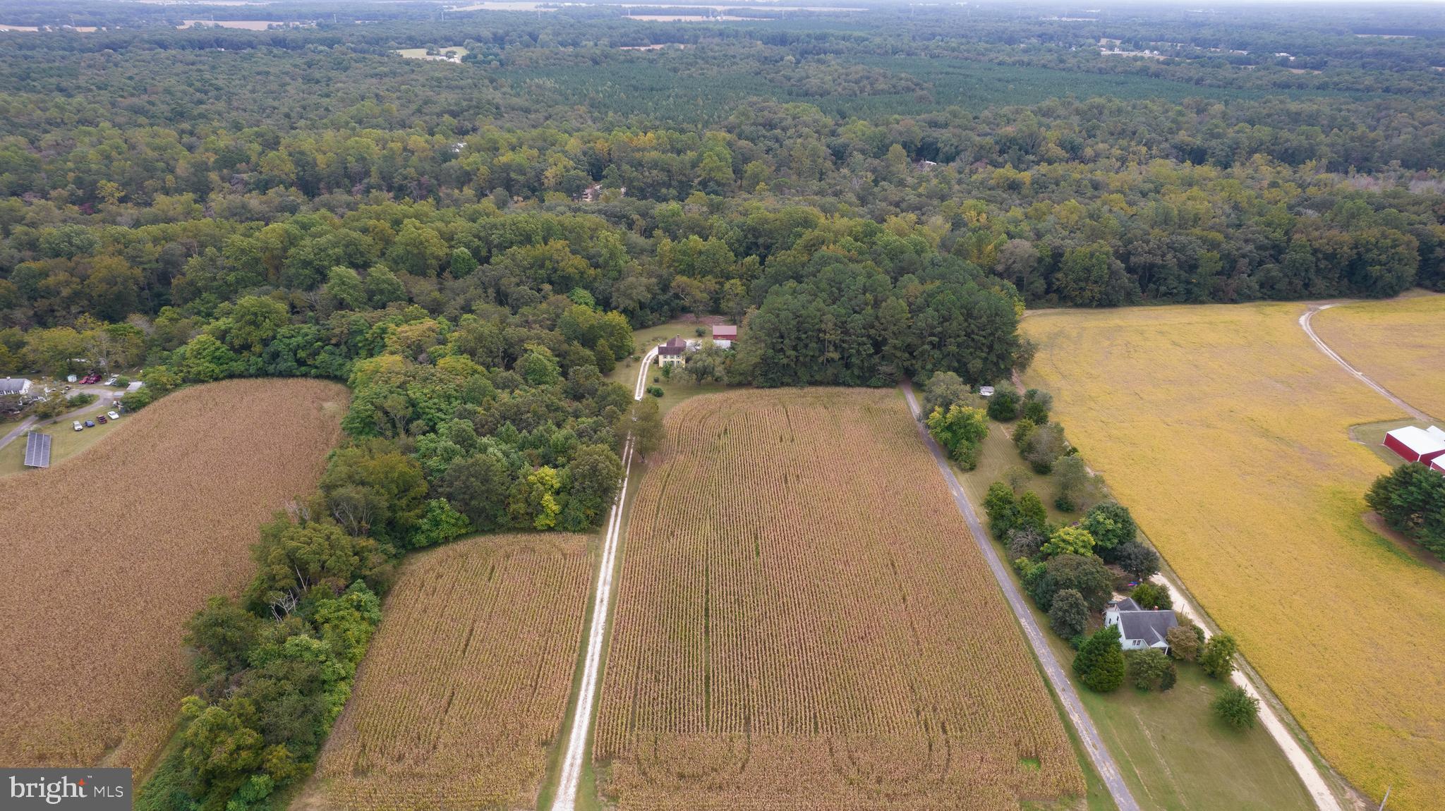 12745 Ridgely Road Greensboro, MD 21639 - Photo 47 of 59 Gallery Image 47