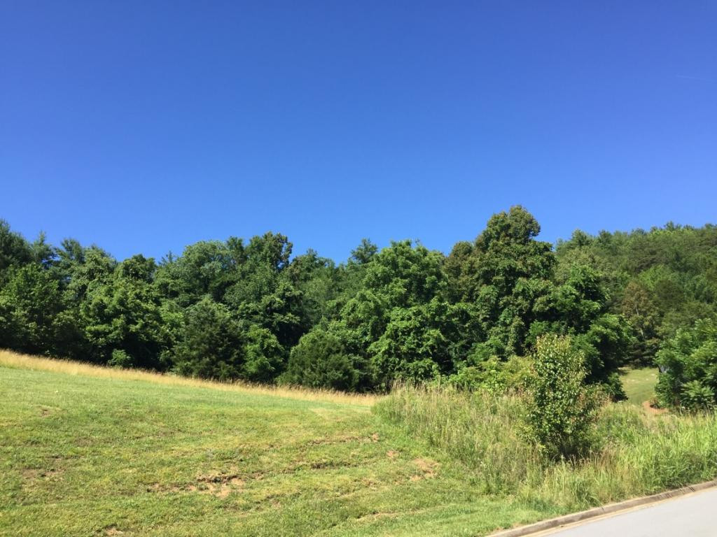 0 Stone Ridge Court, Unit 15 Elizabethton, TN 37643 - Photo 9 of 24 NO THRU TRAFFIC ON LANE