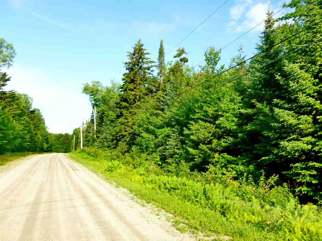 0 Lady Slipper Road Twin Mountain, NH 03595 - Photo 1 of 5 Gallery Image 1