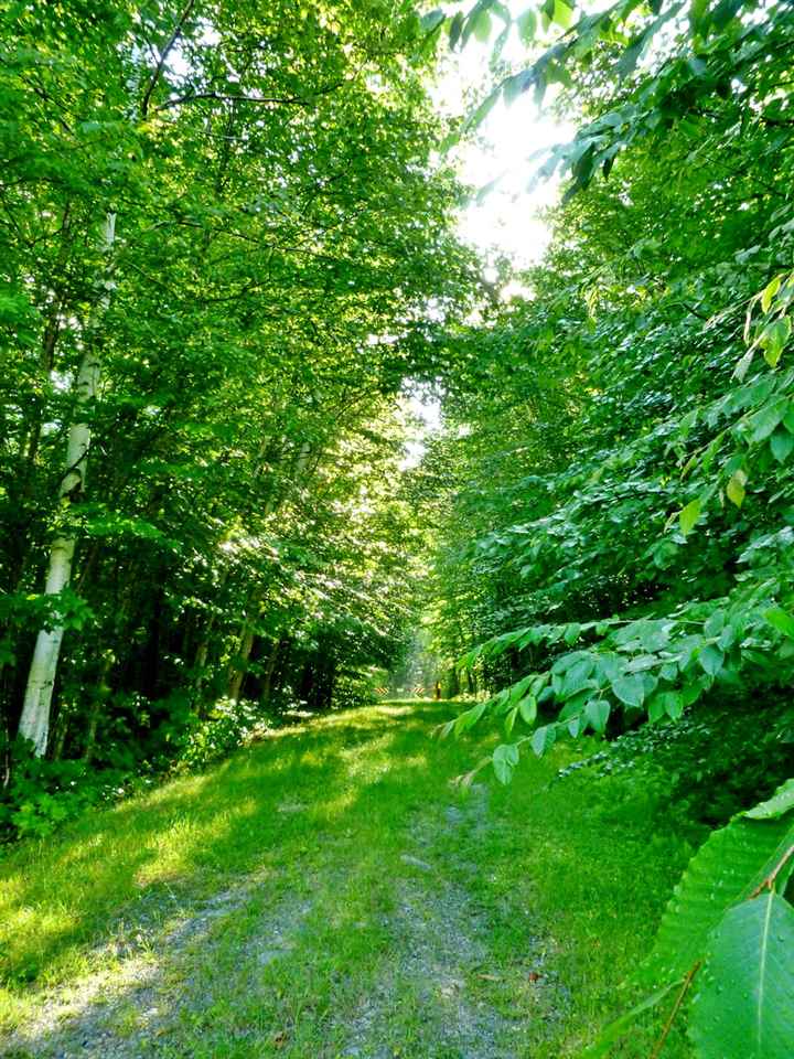 0 Lady Slipper Road Twin Mountain, NH 03595 - Photo 3 of 5 Gallery Image 3