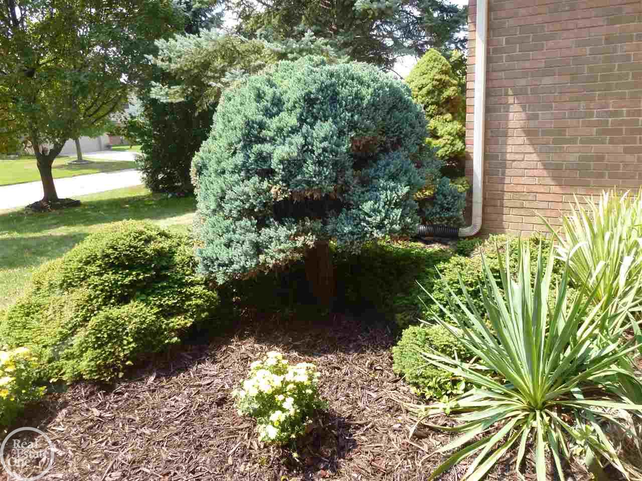 445 Mayapple Court Rochester Hills, MI 48307 - Photo 2 of 32
